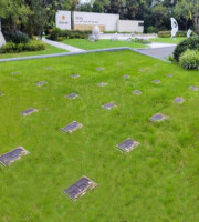 杭州市西湖区钱江陵园生态葬草坪葬墓型1号