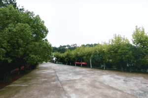 杭州市淳安县湖山公墓园区环境图
