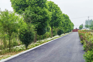 杭州市桐庐县排门山公墓园区道路图