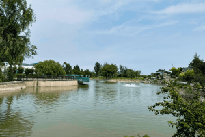 天津市北辰区憩园公墓园区湖景图