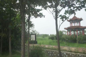 天津市静海县德慈塔陵园区环境图