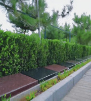 天津市蓟县元宝山庄生命纪念园生态葬花坛葬墓型1号
