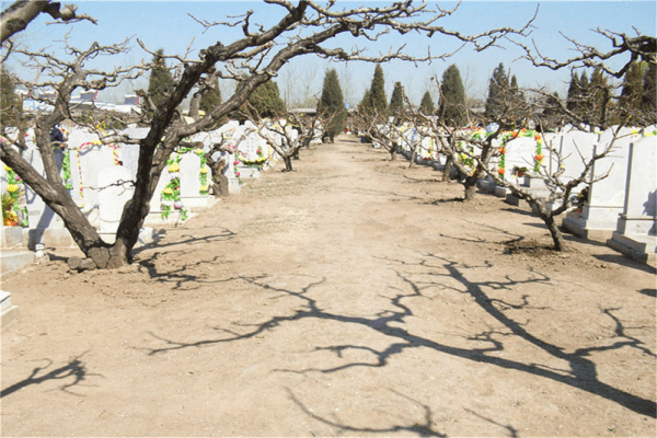 北京市海淀区西静园公墓园区环境图