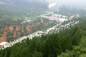 北京市通州区惠灵山陵园园区环境图