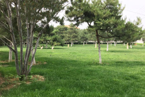 保定市易县世界华侨陵园园区环境图