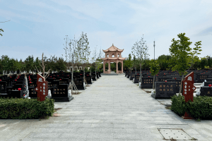 天津市北辰区憩园公墓墓区环境图