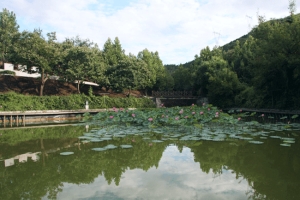 天津市蓟县元宝山庄生命纪念园园区湖景图
