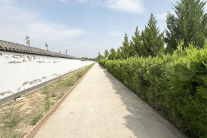 涿州市卧龙公墓园区环境图