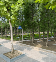 天津市北辰区憩园公墓生态葬树葬墓型1号