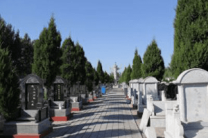 北京市通州区惠灵山陵园墓区环境图