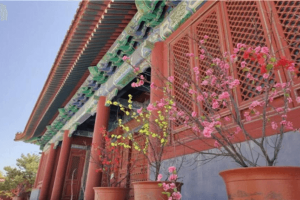 北京市海淀区西静园公墓园区环境图