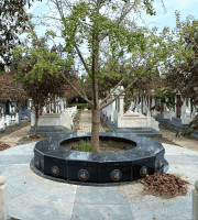 天津市北辰区憩园公墓生态葬树葬墓型3号