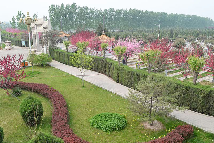 高碑店市高静园园区环境图