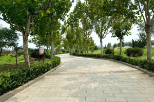 天津市北辰区憩园公墓园区环境图