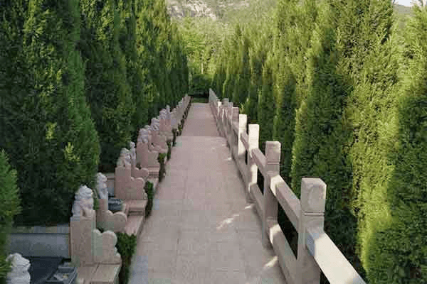 福舜园墓区图