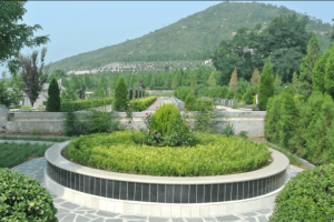 塘沽梦境园景观图