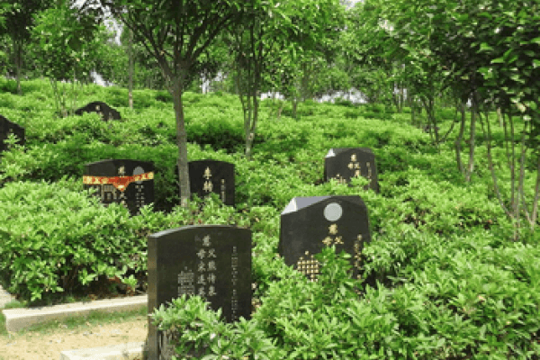 汉沽逸安园景观图