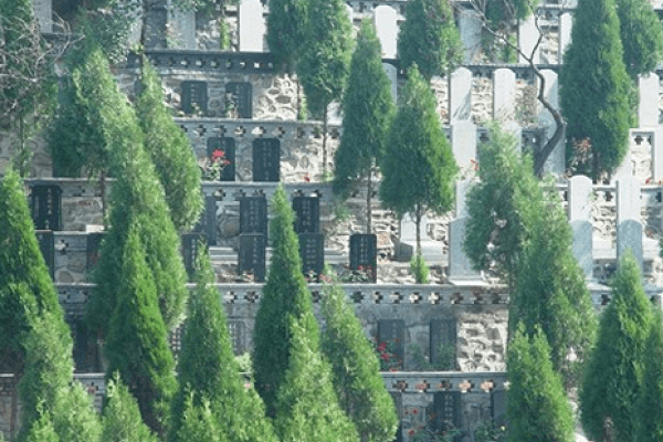 塘沽梦境园景观图