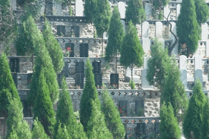 塘沽梦境园景观图