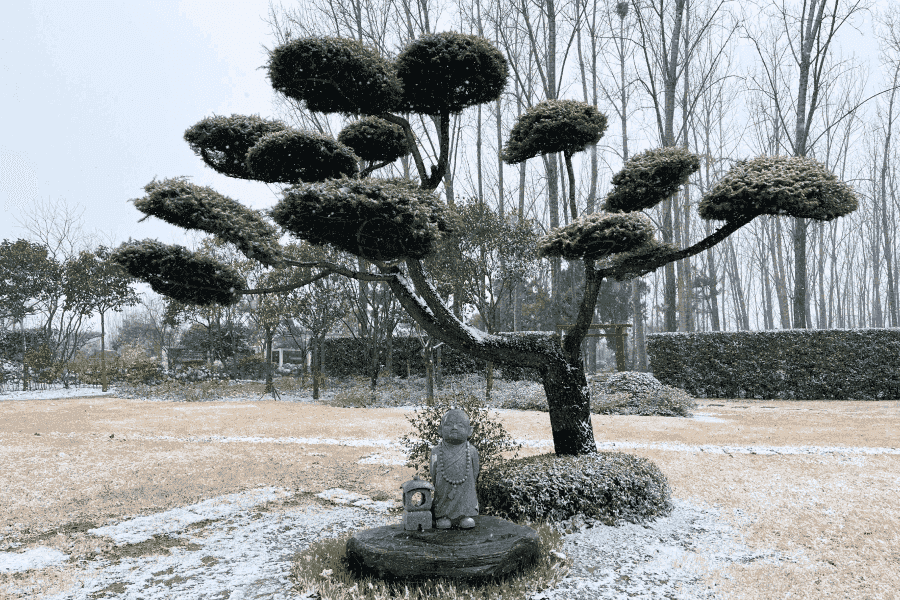 河南福寿园景观图