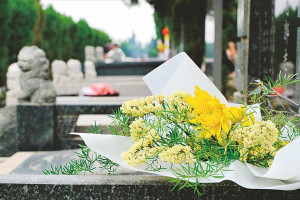 北京墓地咨询