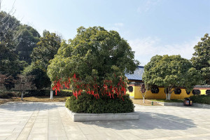 无锡灵山后花园园区环境图