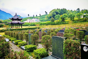 安徽省九华山大愿陵园墓区环境图