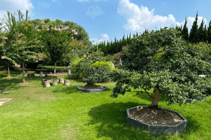 上海市闵行区福乐山庄园区环境图